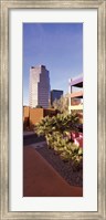 La Placita Tucson AZ Fine Art Print