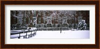 Washington Square Park in the snow, Manhattan Fine Art Print