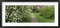 Path In A Park, Richmond, Virginia, USA Fine Art Print