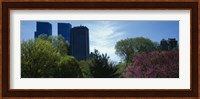 Low angle view of skyscrapers viewed from a park, Central Park, Manhattan, New York City, New York State, USA Fine Art Print