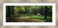 Flowers in a park, Central Park, Manhattan, New York City, New York State, USA Fine Art Print