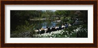 Group of people sitting on benches near a pond, Central Park, Manhattan, New York City, New York State, USA Fine Art Print