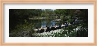 Group of people sitting on benches near a pond, Central Park, Manhattan, New York City, New York State, USA Fine Art Print