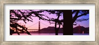 Suspension Bridge Over Water, Golden Gate Bridge, San Francisco, California, USA Fine Art Print
