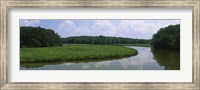 Reflection of clouds in water, Colonial Parkway, Williamsburg, Virginia, USA Fine Art Print