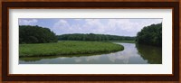 Reflection of clouds in water, Colonial Parkway, Williamsburg, Virginia, USA Fine Art Print