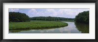 Reflection of clouds in water, Colonial Parkway, Williamsburg, Virginia, USA Fine Art Print