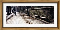 Rear view of a woman walking on a walkway, Central Park, Manhattan, New York City, New York, USA Fine Art Print