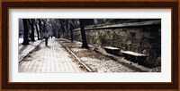 Rear view of a woman walking on a walkway, Central Park, Manhattan, New York City, New York, USA Fine Art Print