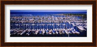 High angle view of boats in a row, Ala Wai, Honolulu, Hawaii Fine Art Print