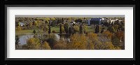 High angle view of trees, Denver, Colorado, USA Fine Art Print