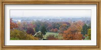 High angle view of a cemetery, Arlington National Cemetery, Washington DC, USA Fine Art Print