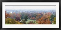 High angle view of a cemetery, Arlington National Cemetery, Washington DC, USA Fine Art Print