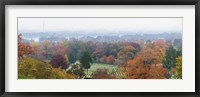 High angle view of a cemetery, Arlington National Cemetery, Washington DC, USA Fine Art Print