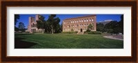 Lawn in front of a Royce Hall and Haines Hall, University of California, City of Los Angeles, California, USA Fine Art Print