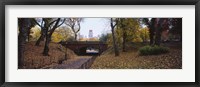 Bridge in a park, Central Park, Manhattan, New York City, New York State, USA Fine Art Print
