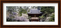 Low angle view of entrance of a park, Japanese Tea Garden, Golden Gate Park, San Francisco, California, USA Fine Art Print