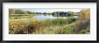 Reflection of trees in water, Odana Hills Golf Course, Madison, Dane County, Wisconsin, USA Fine Art Print