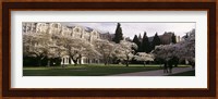 University of Washington, Seattle, King County, Washington State Fine Art Print