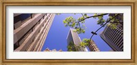 Low angle view of buildings in a city, San Francisco, California, USA Fine Art Print