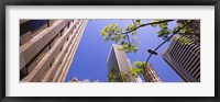 Low angle view of buildings in a city, San Francisco, California, USA Fine Art Print