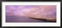 Yachts moored at a harbor, San Francisco Bay, San Francisco, California, USA Fine Art Print
