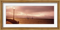 Sailboats in the sea, San Francisco Bay, Golden Gate Bridge, San Francisco, California, USA Fine Art Print