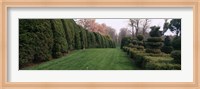 Hedge in a formal garden, Ladew Topiary Gardens, Monkton, Baltimore County, Maryland Fine Art Print