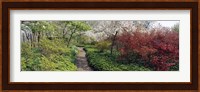 Trees in a garden, Garden of Eden, Ladew Topiary Gardens, Monkton, Baltimore County, Maryland, USA Fine Art Print