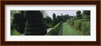 Sculptures formed from trees and plants in a garden, Ladew Topiary Gardens, Monkton, Baltimore County, Maryland, USA Fine Art Print