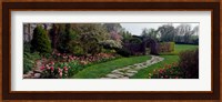 Flowers in a garden, Ladew Topiary Gardens, Monkton, Baltimore County, Maryland, USA Fine Art Print