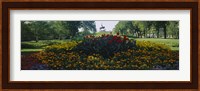 Flowers in a park, Grant Park, Chicago, Cook County, Illinois, USA Fine Art Print