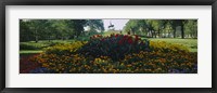 Flowers in a park, Grant Park, Chicago, Cook County, Illinois, USA Fine Art Print