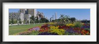 Flowers in a garden, Welcome Garden, Grant Park, Michigan Avenue, Roosevelt Road, Chicago, Cook County, Illinois, USA Fine Art Print