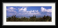 Tampa Bay, Gulf Of Mexico, Anna Maria Island, Florida Fine Art Print