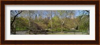 Trees in a park, Central Park West, Central Park, Manhattan, New York City, New York State, USA Fine Art Print