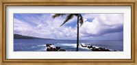 Palm tree on the coast, Honolulu Nui Bay, Nahiku, Maui, Hawaii, USA Fine Art Print