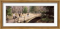 Group of people walking on an arch bridge, Central Park, Manhattan, New York City, New York State, USA Fine Art Print