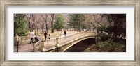 Group of people walking on an arch bridge, Central Park, Manhattan, New York City, New York State, USA Fine Art Print