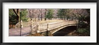 Arch bridge in a park, Central Park, Manhattan, New York City, New York State, USA Fine Art Print