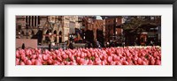 Tulips in a garden with Old South Church in the background, Copley Square, Boston, Suffolk County, Massachusetts, USA Fine Art Print