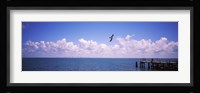 Pier over the sea, Fort De Soto Park, Tampa Bay, Gulf of Mexico, St. Petersburg, Pinellas County, Florida, USA Fine Art Print