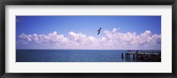 Pier over the sea, Fort De Soto Park, Tampa Bay, Gulf of Mexico, St. Petersburg, Pinellas County, Florida, USA Fine Art Print