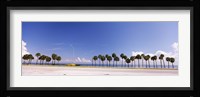 Palm trees at the roadside, Interstate 275, Tampa Bay, Gulf of Mexico, Florida, USA Fine Art Print