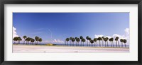 Palm trees at the roadside, Interstate 275, Tampa Bay, Gulf of Mexico, Florida, USA Fine Art Print