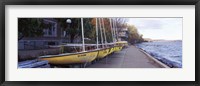 Sailboats in a row, University of Wisconsin, Madison, Dane County, Wisconsin, USA Fine Art Print