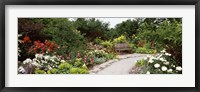 Bench in a garden, Olbrich Botanical Gardens, Madison, Wisconsin, USA Fine Art Print