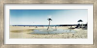 Palm tree sprinkler on the beach, Coney Island, Brooklyn, New York City, New York State, USA Fine Art Print