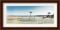 Palm tree sprinkler on the beach, Coney Island, Brooklyn, New York City, New York State, USA Fine Art Print
