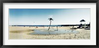 Palm tree sprinkler on the beach, Coney Island, Brooklyn, New York City, New York State, USA Fine Art Print